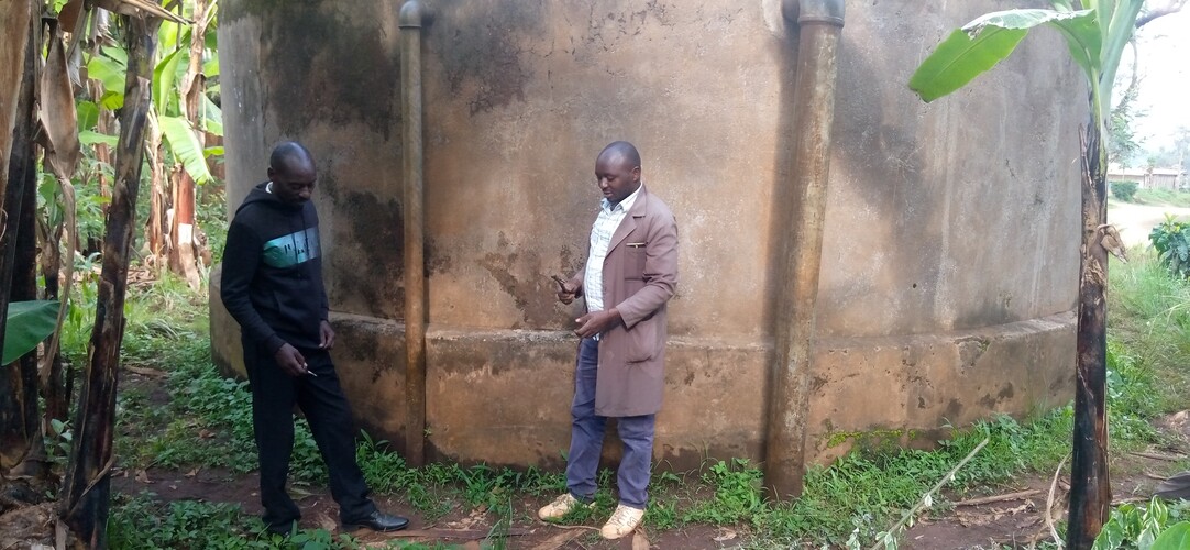kanyambo
